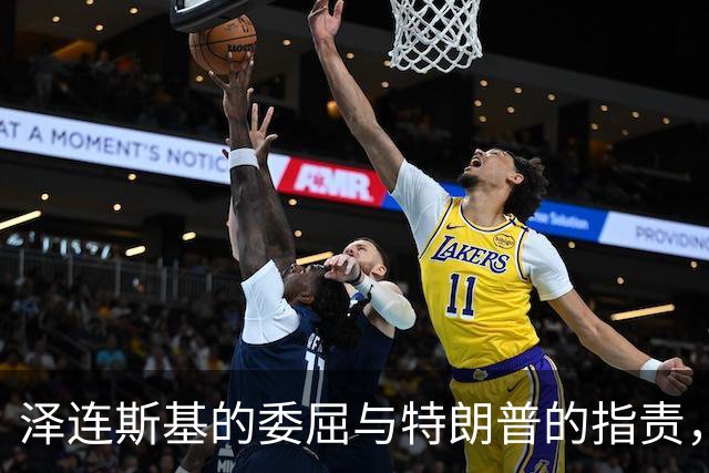 泽连斯基的委屈与特朗普的指责，国际关系如同一场复杂的情感剧